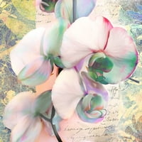 Kaleidoskop orhidejni poster Ispis parr Kelly