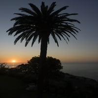 Silueta palme, Bantry Bay, Cape Town, Provincija Western rt, Južna Afrika Poster Print