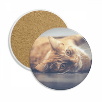 Životinjska žuto mačja fotografija Slika Coaster Cup Cup za zaštitu stola upijajući kamen