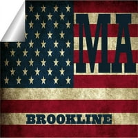 Brookline Ma Massachusetts Norfolk County Vintage US Zastava zastava naljepnica naljepnica vinil 3 5