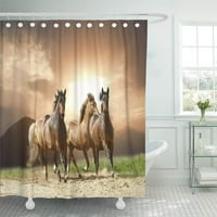 Zeleni ranč bijeli divlji konji u ljeto sivom ruku kupatilo DECOR CURTAR za tuširanje kupatila