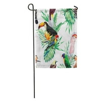 Tropske ptice Parrot Maccaw i Toucan na grani egzotične bašte zastava ukrasna zastava kuće baner