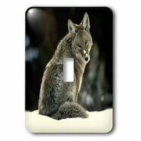 3Droza Coyote - Jednokrevetni prekidač
