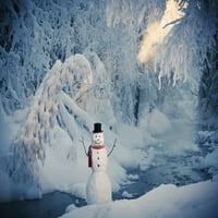 Snjegović koji stoji pored potoka sa maglom i drvećem smrzavanim drvećem u pozadini, ruski Jack Springs