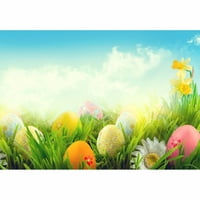 Hellodecor poliester tkanina 7x5ft Uskršnja pozadina šarena jaja i cvijeće leže na travi plavo nebo
