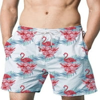 Muške ljetne kratke hlače navlaka za plivanje DUGNKS MESH obloge plaža Hlače Havajska dna vježbanje