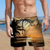 Štorke za pljusko za muškarce Shorts Swim deblice Brzo suho ploče Kratke hlače, dizavi na plaži Hlače