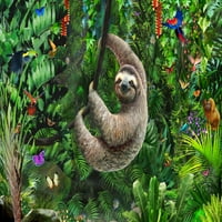Sloth u posteru za džunglu Print Adrian Chesterman