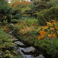 Tully Japanski vrtovi, CO Kildare, Irska; Japanski vrt od strane irske slike za sakupljanje slika Slike
