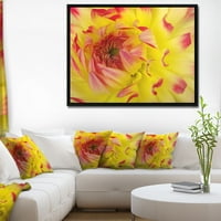 Art DesimanArt Glatke žute crvene latice izbliza cvjetni uokvireni platno umjetničko otisak u. Široko