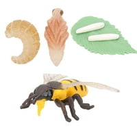 Model meda, model insekata, ftalat - za djecu