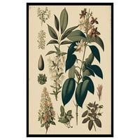 Vintage Botanički poster - Retro cvjetni print - Uncrand Wall Art - Poklon za baštovanke, Kućeving -