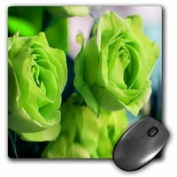 3Droze tri svijetle zelene ruže - jastučić za miš, po
