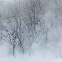 Drveće uz zamrznuto jezero Kussharo. Zimski snijeg sa izveštajem magle. Poster Print Darrell Gulin