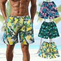 Muškarci Kućice Plaže Pansion Svi kupaći kostimi Krupni suvi plivanje bokseri