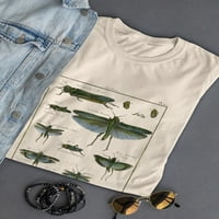 Majica insekata enciklopedija majica -Denis Diderot dizajni, ženski xx-veliki