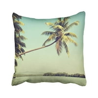 Plavo drvo Vintage Palm Beach Hawaii Travel Sažetak Tropski odmor Kokosov jastuk Jastuk Jastuk za bacanje