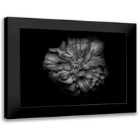 Carson, Brian crni moderni uokvireni muzej umjetnički print pod nazivom - dvorište cvijeće crno-bijelo
