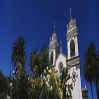 Biljke ispred katedrale, portugalske katedrale, San Jose, Silicon Valley, Okrug Santa Clara, Kalifornija,