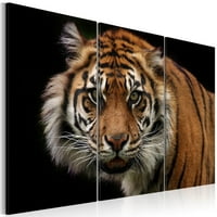 TiptophOMedecor rastegnuta platna životinjska umjetnost - divlji tigar - rastegnut i uokviren spreman