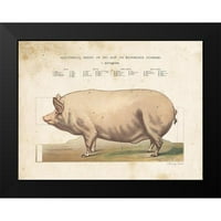 Babbitt, Gwendolyn Crni moderni uokvireni muzej umjetnički print pod nazivom - anatomska model svinja
