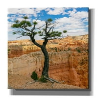 Epic Graffiti 'Utah - Bryce Canyon Tree' by Epic portfelj, platno Zidno umjetnost, 40 x60