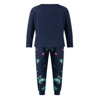 Wassery Božićna porodica Podudaranje Pajamas Outfits Dugi rukav Božićni dinosaur noćne odjeće + Long