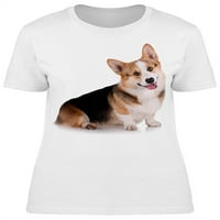 Velški Corgi pas okrećući majicu Žene -Image by shutterstock Women majica, ženski medij