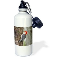 Crveno-trbuškati Woodpecker Bird, muškarac na hrastu - US LDI - Larry Ditto OZ Sportska boca za sport