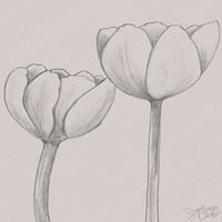 Elegantni tulipovi Print - Stephanie Dicks