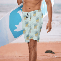 Fraigo muške havajske pristiglih plaža Swim trunke za dječake Ležerne prilike lagane elastične strugove