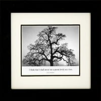 Profesionalno uokvirene hrastove stablo na zalasku sunca ANSSE ADAMS Crno-bijelo fotografija sa citatom