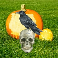 Domaći dekor Slatka Crow kartica Vrt Vrt Groblje Holiday Dekoracija Uključi za alate i poboljšanje kuće