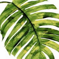 Tropical Palm II poster Ispis Melonie Miller R114337