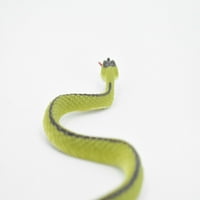 Snake, podvezica zmija, zelena, gumena gmizavac, obrazovna, realna ručna oslikana, slika, životni model,