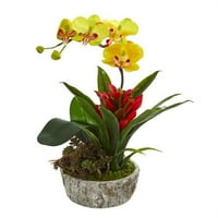 Orhideja, bromeliad i sočan umjetni aranžman u saksija - žutom crvenom