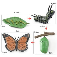 Minijature Montessori igračka simulacija biologiju dodaci Insekt Model životinjskog životnog ciklusa
