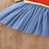 Jesen i zimska ležerna suknja u boji u boji odgovaraju duginu trake djevojke slatka mrežaste haljine