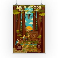 Muir Woods National Monument, Kalifornija, Geometrijski