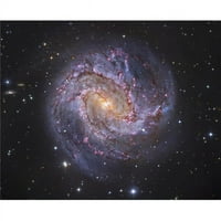 Stocktrek Images PSTGEN100120S Messier Southern Pinwheel Galaxy Poster Print, 12