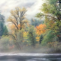 Jeseni drveće uz rijeku Mackenzie, Nacionalna šuma Willamette, Linn County, Oregon, USA Poster Print