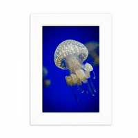 Ocean Jellyfish Science Slika prirode Desktop Foto okvir Slika Prikaz Dekoracija umjetnička slika