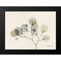 KoetSier, Albert Black Moderni uokvireni muzej umjetnički print pod nazivom - Sunkissed eukaliptus 2