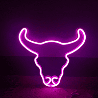 LED neonski potpisuje ukrasna svjetla USB LED lampica za napajanje baterije Neon STB Night svjetla za