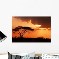 Prekrasan afrički zalazak sunca zidni zidni muralni zidni kore i palica Grafički grafički WM146534