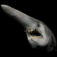 Portret goblinskog morskog psa koji prikazuje oštre trake zuba Ispis Vwpics Stocktrek slike