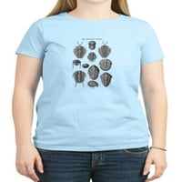 Cafepress - Trilobites Ženska lagana majica - Ženska klasična majica