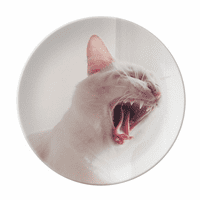 Životinjska bijela žestoka mačka Fotografska ploča ukrasna porculanska posuda za večeru