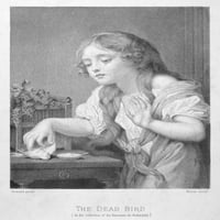 Djevojka i ptica. N'ts mrtva ptica. ' Čelično graviranje, američki, 19. stoljeće, nakon slike, C1760,