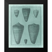 Vision Studio Crni moderni uokvireni muzej Art Print pod nazivom - Spa Shell Collection I